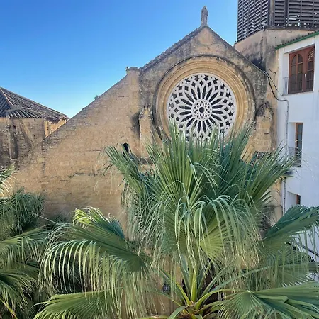 Casa San Salvador בית נופש קורדובה